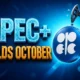 OPEC+ holds October oil output 31.01 million barrels