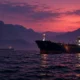 Oman postpones Hormuz talks Saudi pipeline shut